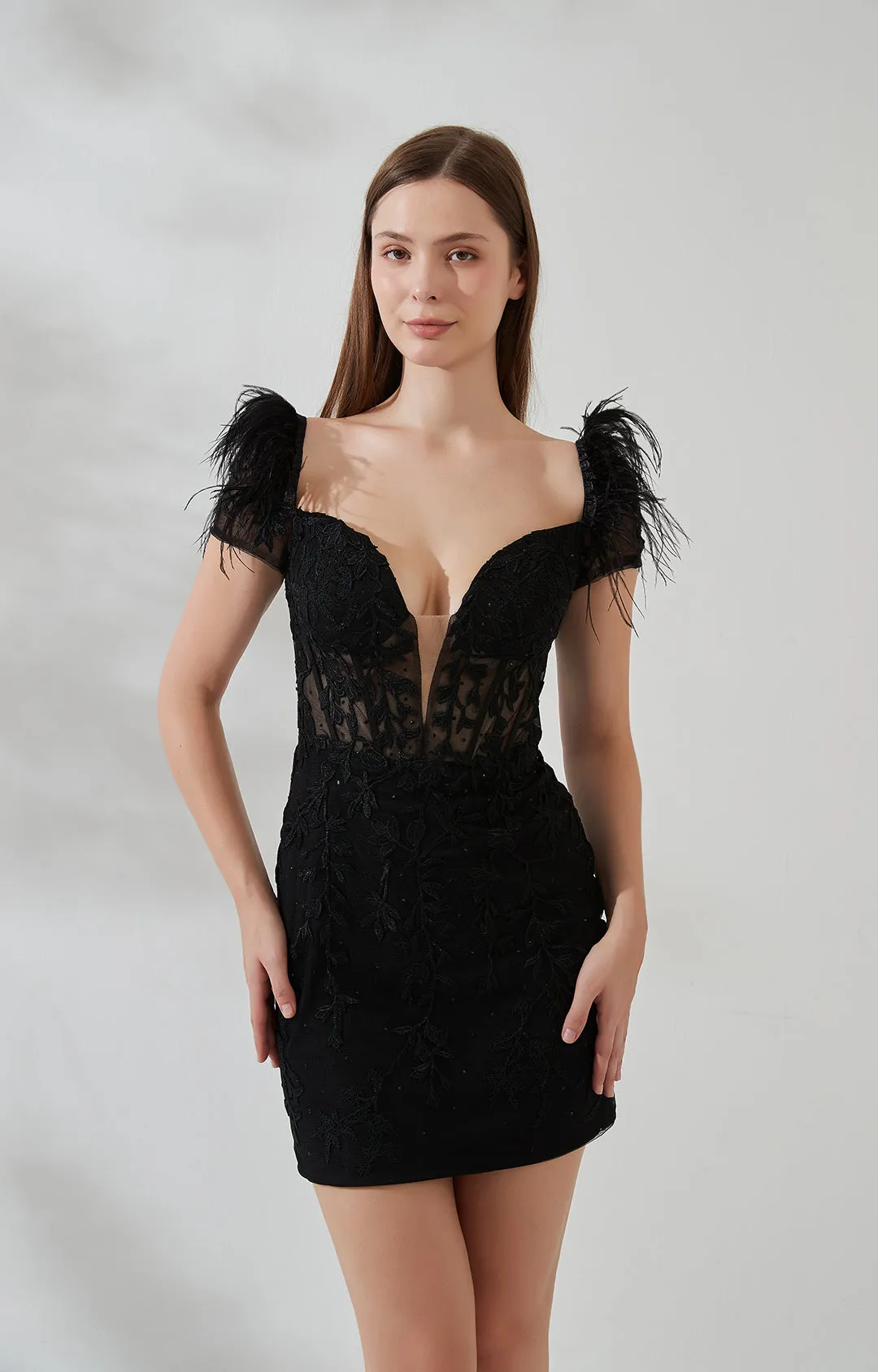 Deep V-Neck Feather Dash Sleeve Appliqued Hip Sheath Dress
