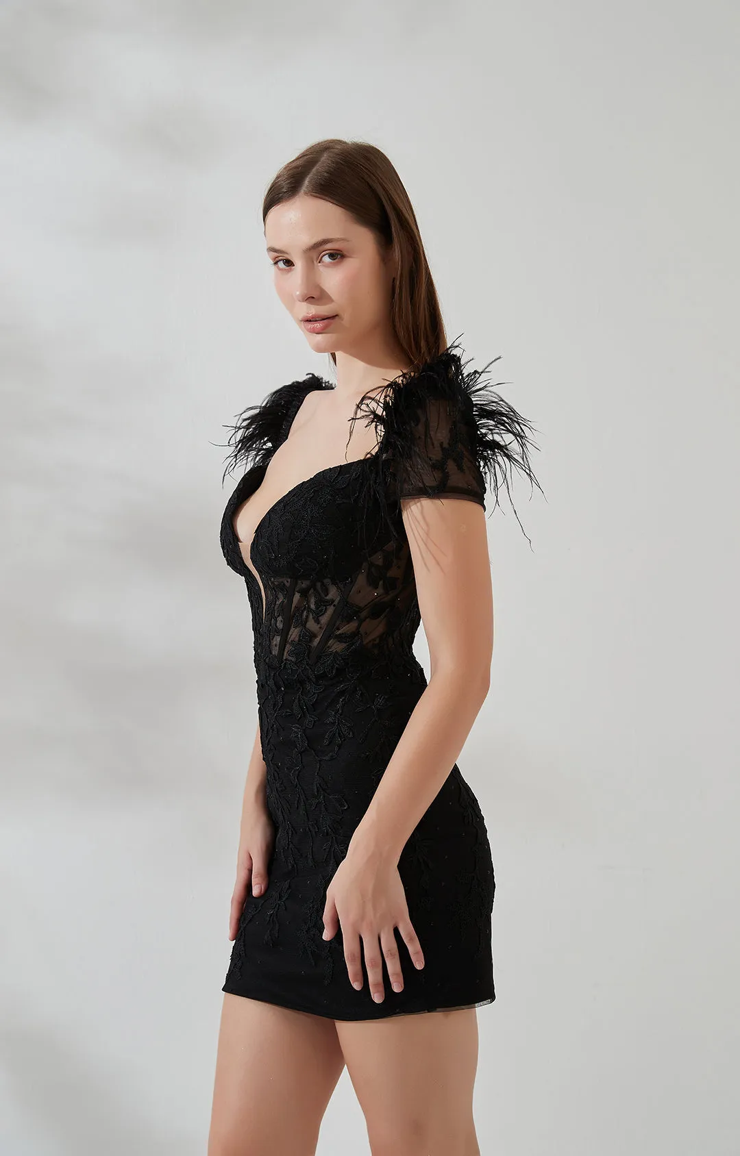 Deep V-Neck Feather Dash Sleeve Appliqued Hip Sheath Dress